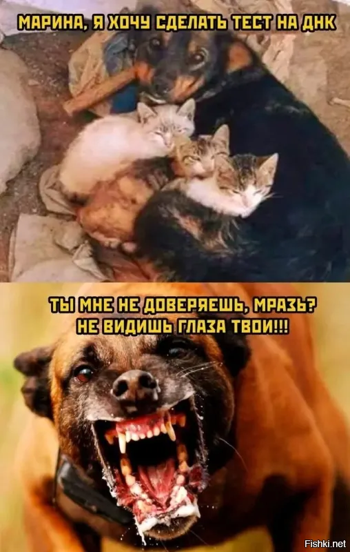 Напомнило.