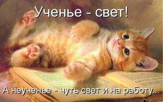 Крик души детсадовца