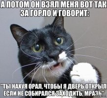 Большая миска улыбатора