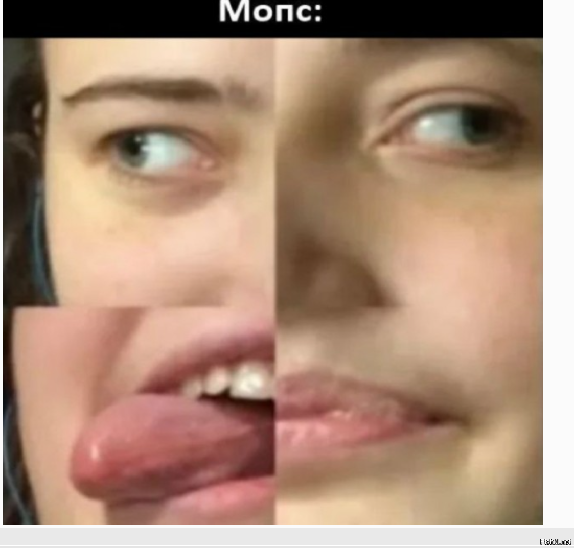 Солянка от 10.10.2025