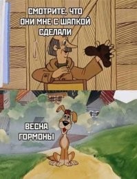 Большая миска улыбатора