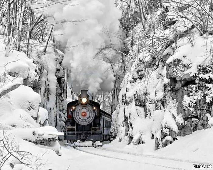 Солянка от 10.10.2025