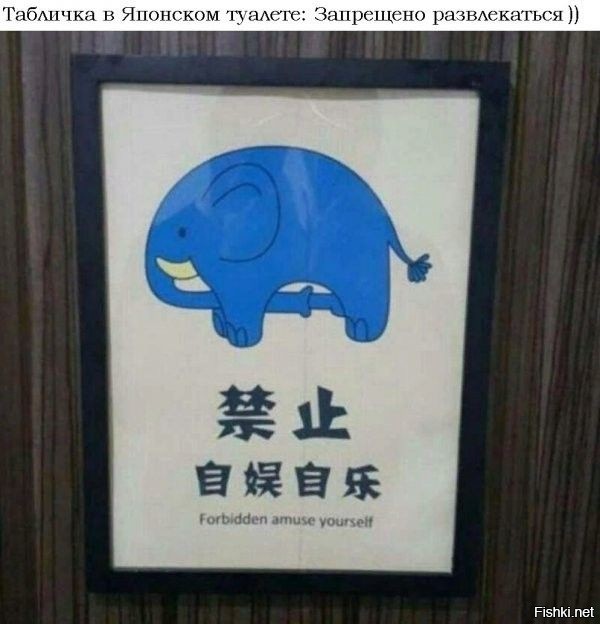 Солянка от 11.10.2025