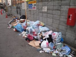 Здесь пусть погуляет в своих носках