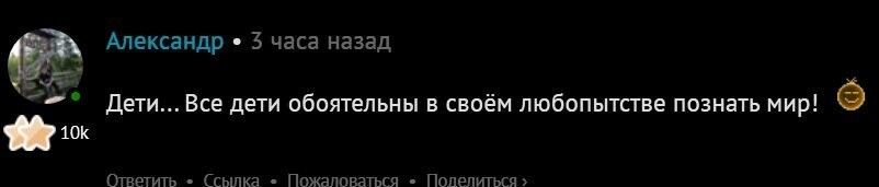 В США заметили самого милого пингвина, который обожает играть с мыльными пузырями