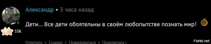 В США заметили самого милого пингвина, который обожает играть с мыльными пузырями