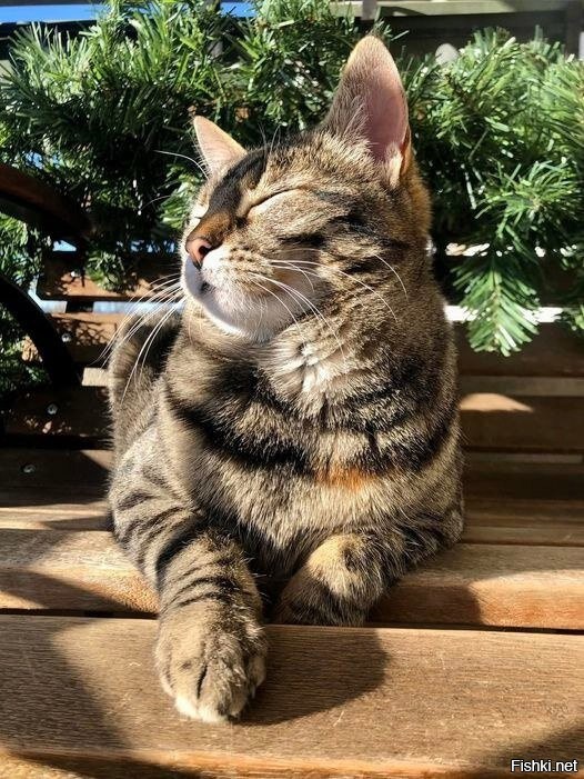 Доброе утро