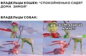 Кот, который гуляет сам по себе, но всегда возвращается домой на лифте