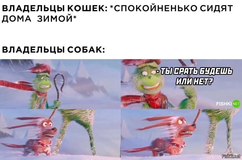 Кот, который гуляет сам по себе, но всегда возвращается домой на лифте