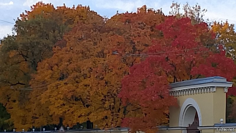 а вот в ответ Таврическая улица сегодня в 8 утра.