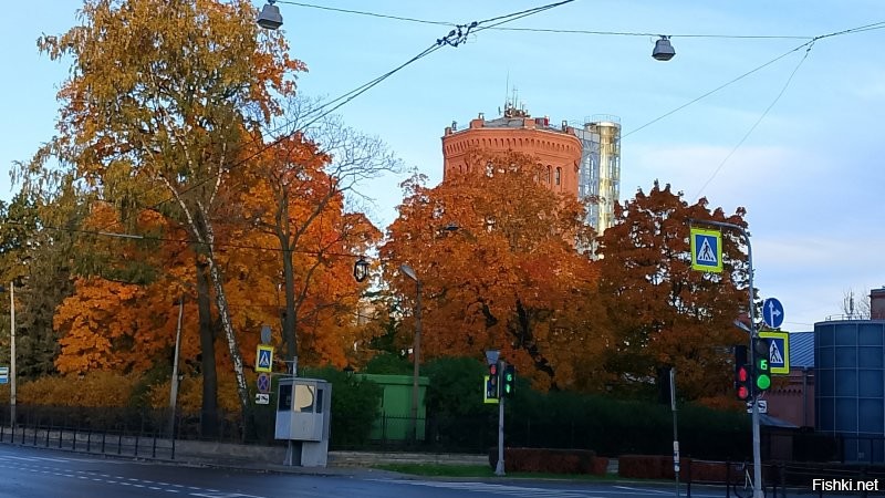 а вот в ответ Таврическая улица сегодня в 8 утра.