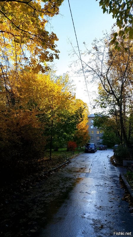 а вот в ответ Таврическая улица сегодня в 8 утра.