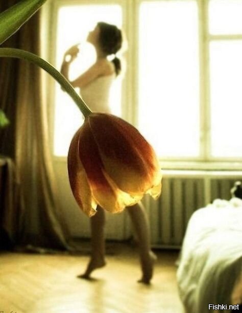 Солянка от 12.10.2025