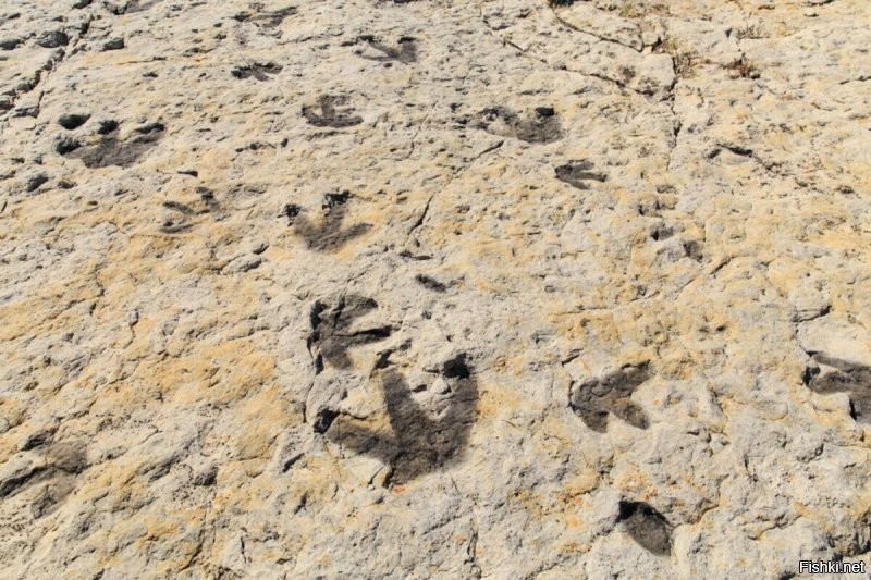 Всякое есть.