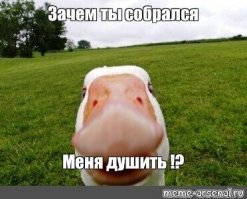 Мужчина с "фонарём" отшил приставучую девушку