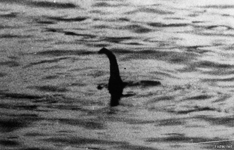 Солянка от 13.10.2025