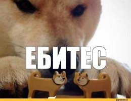 Сначала...., а потом миритес
