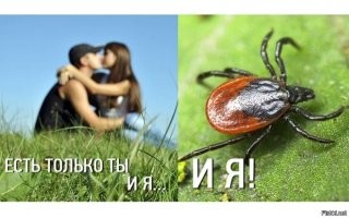 Не ищите здесь смысл. Здесь в основном маразм