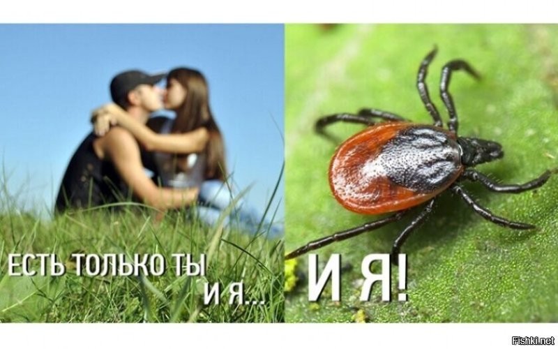 Не ищите здесь смысл. Здесь в основном маразм