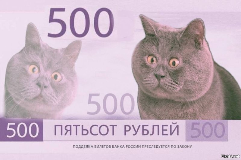 "В этом могут быть заинтересованные западные спецслужбы": в Госдуме рассказали о виновниках конфликта вокруг голосования за дизайн 500-рублевой банкноты