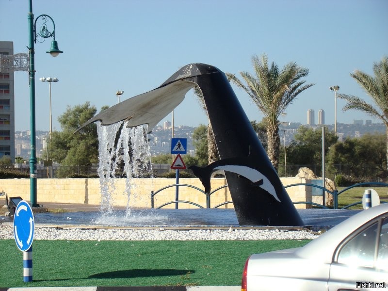 Солянка от 12.10.2025