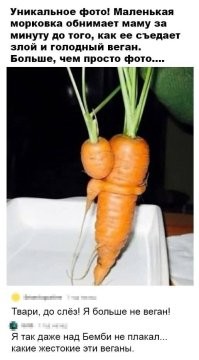 20 фотографий, демонстрирующих таланты созданий природы в искусстве маскировки