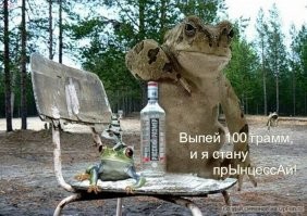 Ночь, самогон и «пьяная» жаба: странная встреча