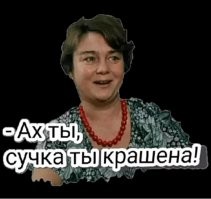 20 фотографий, демонстрирующих таланты созданий природы в искусстве маскировки