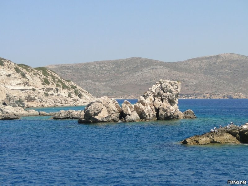 Похоже на льва, но не лев... И не собака