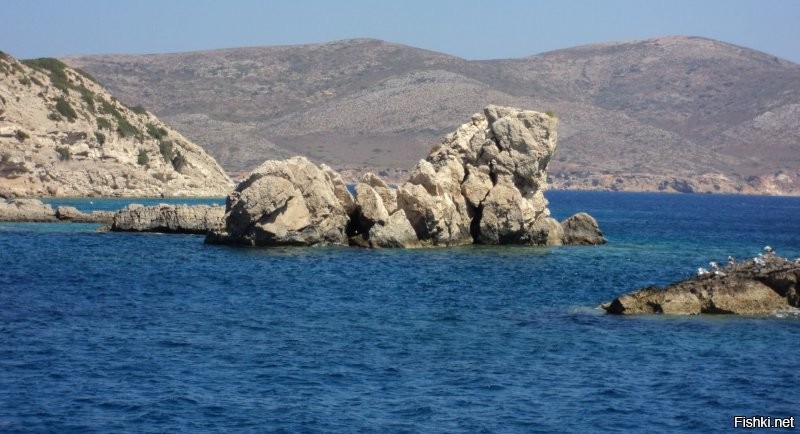 Похоже на льва, но не лев... И не собака