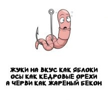 Хорошая попытка, но всё-таки кушайте сами ваши деликатесы. Приятного аппетита!