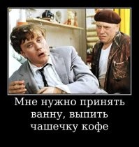 Ночь, самогон и «пьяная» жаба: странная встреча