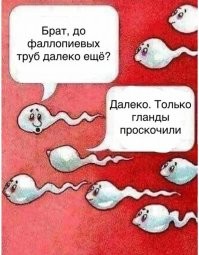 Есть красивая теория о том, что так в наш мир приходит душа