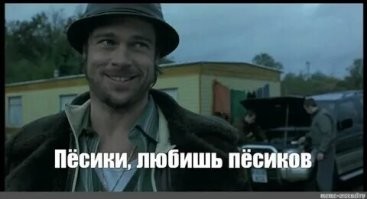 Скрины из соцсетей