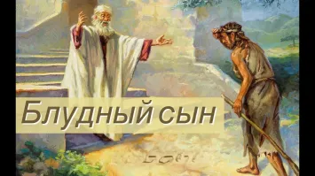 Паук вернулся к хозяевам спустя год после побега