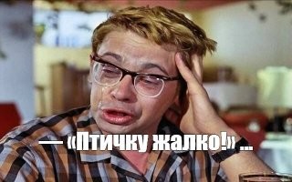 Необычная история Тревора – самого одинокого селезня в мире