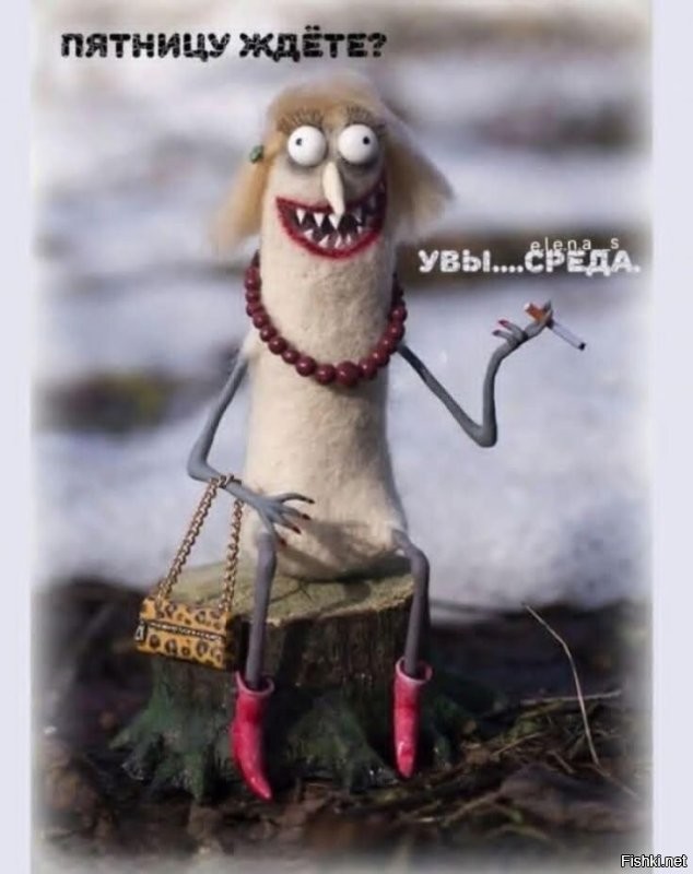 Солянка от 14.10.2025