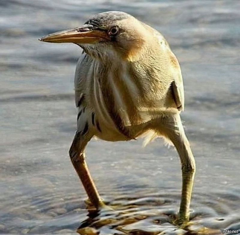 Штош... значит так надо...
Если вдруг получишь доступ...
Дай знать... копию сделаю...
Для потомков...)