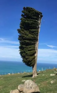 Ну и с какой стороны юг?)))