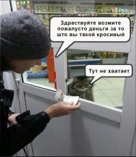 Демотиваторы для всех