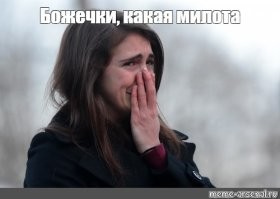 Паук вернулся к хозяевам спустя год после побега