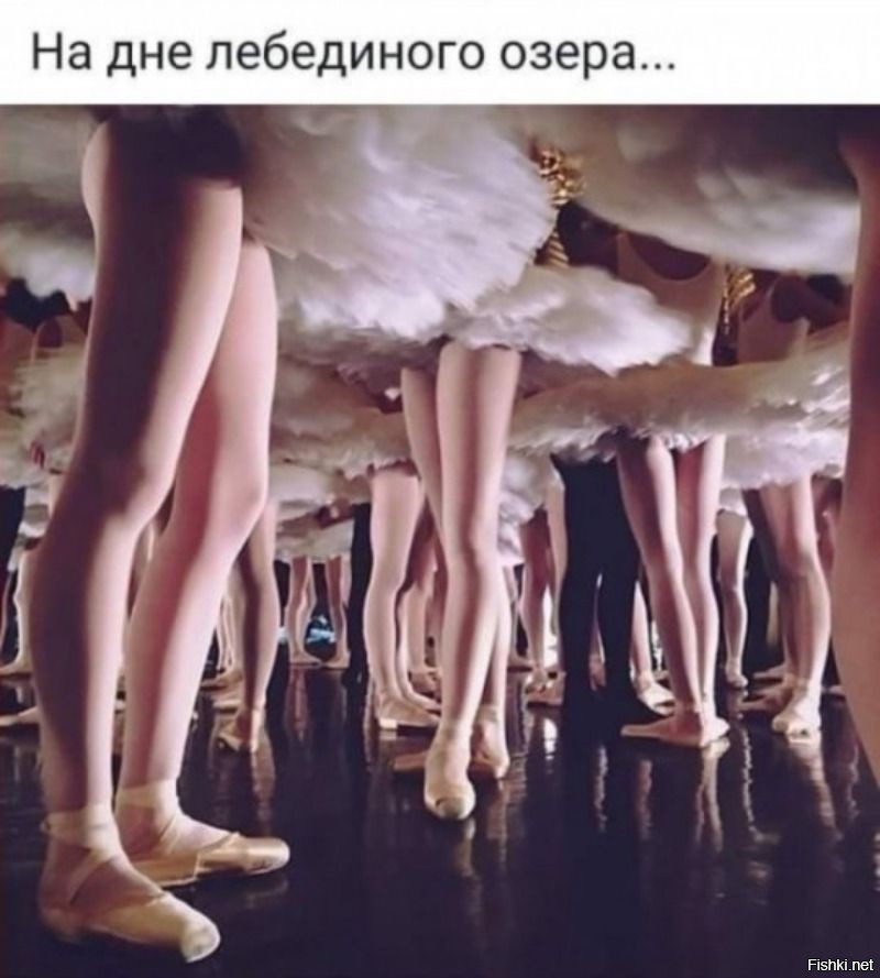 Солянка от 13.10.2025