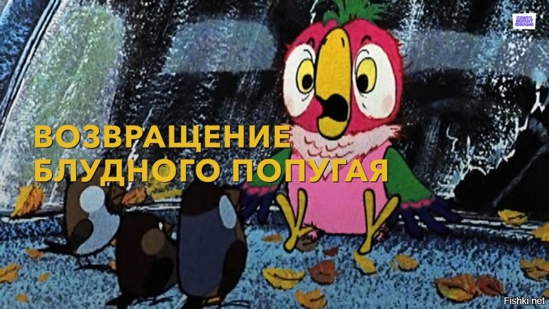 Паук вернулся к хозяевам спустя год после побега