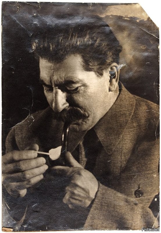 Расстрелять!!!