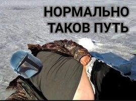 Скрины из соцсетей