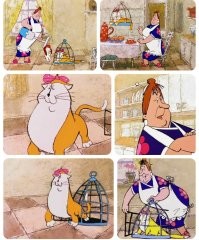 Парень случайно поймал кота, устанавливая ловушку для крыс