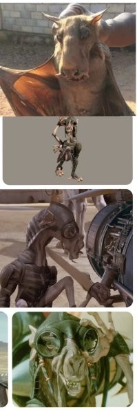 14 + фотографий-доказательств того, что природа до сих пор способна удивить человека