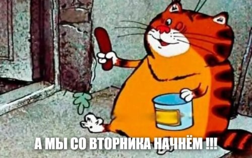 Солянка от 14.10.2025