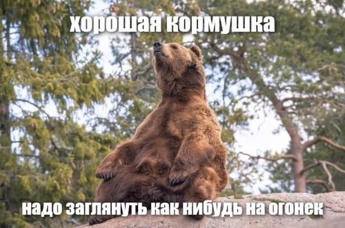 Зато не в ипотеку: мальчик своими руками построил дом