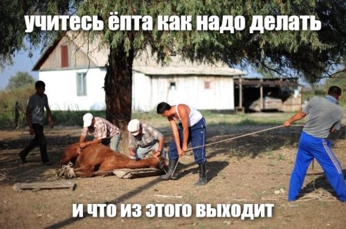 Вкусно и полезно